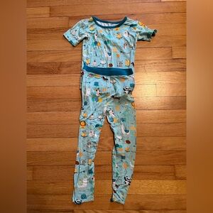 Little Sleepies Blue and Pink Pajama Set